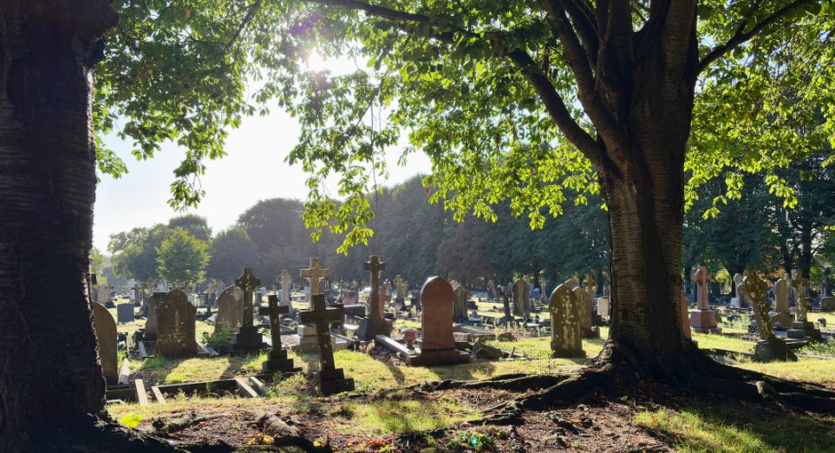 A wide view of a cemetery with numerous upright headstones arranged in rows on a grassy area, some tilted or leaning. The headstones are made of stone and vary in height, shape, and colour, with some